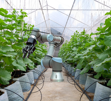 GOZ- to się opłaca